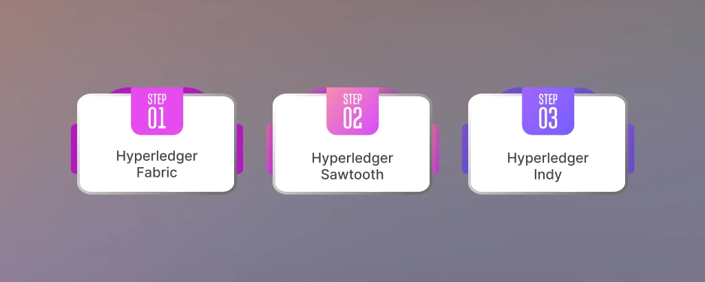 2_what_is_hyperledger_