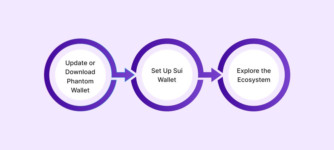 4_how_to_use_sui_on_phantom_wallet_